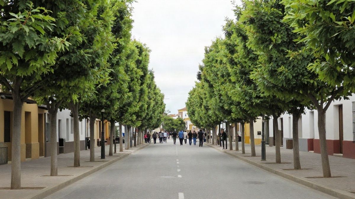 Imagen ilustrativa: grupo de personas mayores caminando por una avenida arbolada, vistas de espaldas y sin rostros visibles.