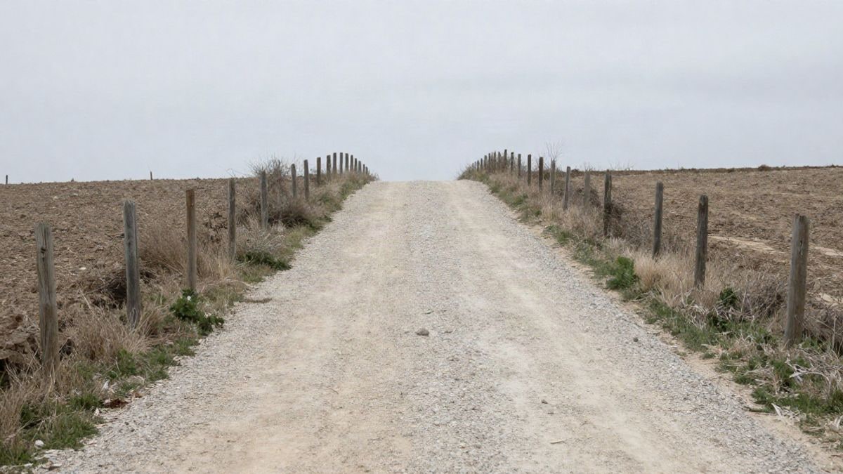 Imagen ilustrativa: camino rural de grava con líneas que convergen en un paisaje español