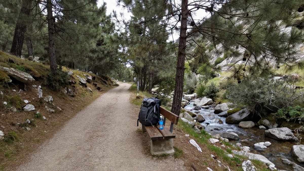 Imagen ilustrativa: sendero forestal en la sierra con una mochila y una botella de agua junto al camino.