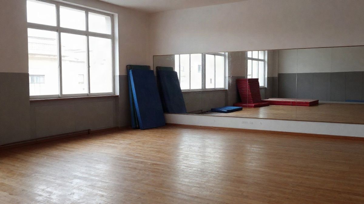 Illustrative image: training room with mats next to a window and a wooden floor