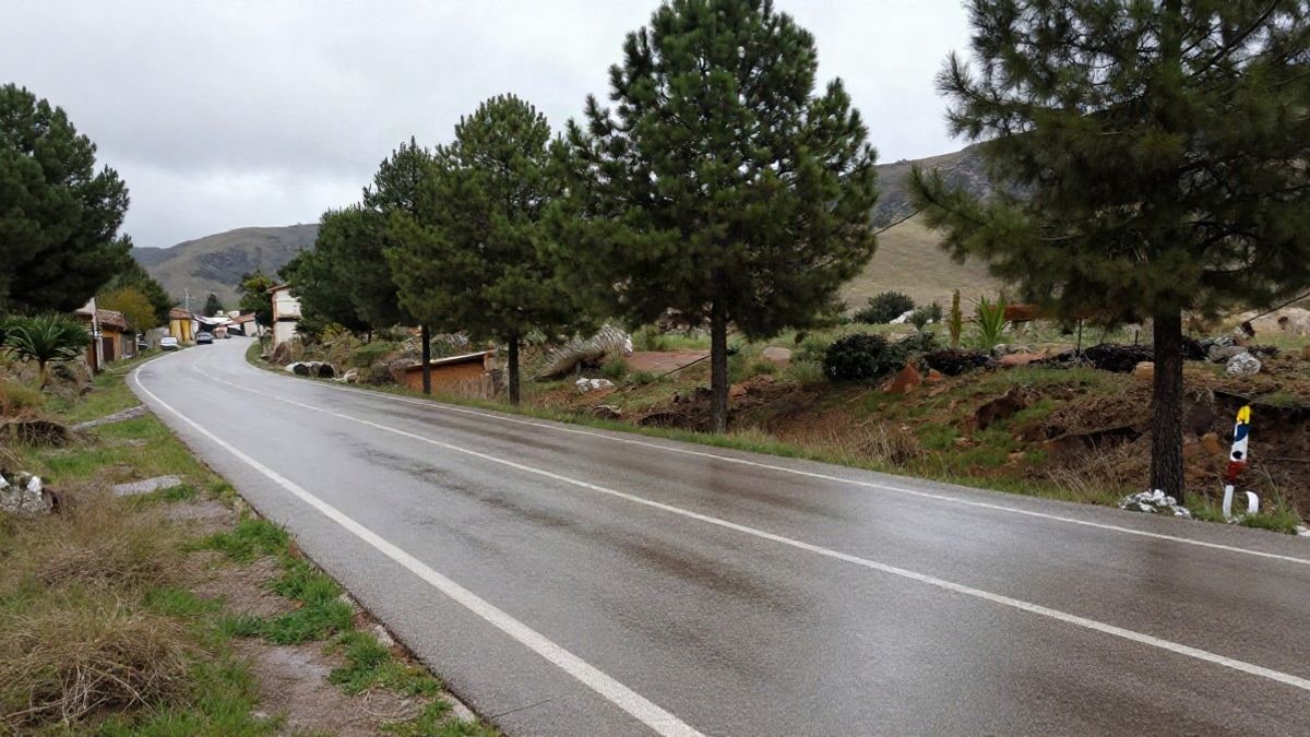 Imagen ilustrativa: carretera de montaña mojada con charcos en el asfalto y pinos al fondo bajo un cielo nublado