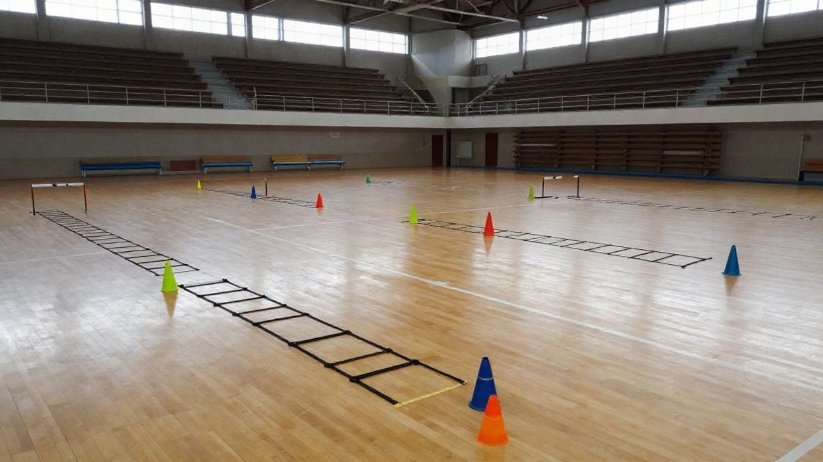 Imagen ilustrativa: pista polideportiva cubierta con conos y vallas de agility preparadas para una competición.