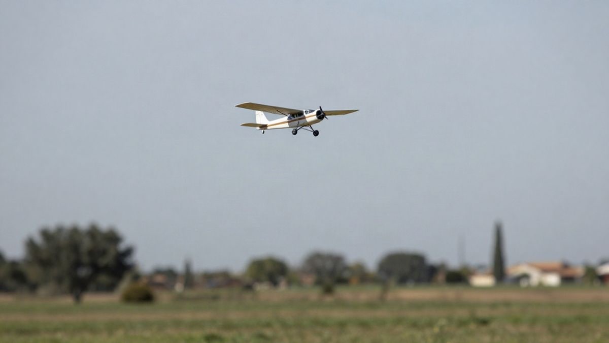 Illustrative image: a remote-controlled plane flying over an open field with a cloudy sky.
