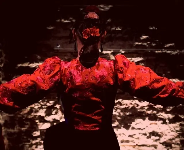 Flamenco show in Madrid
